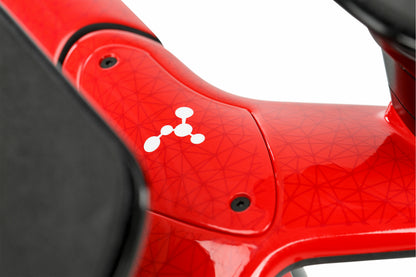 Argon18 Electron Pro Rio Pursuit Frameset